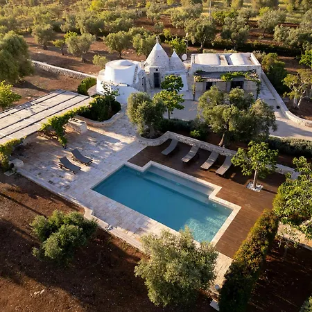 Pool Among Ancient Olive Trees In *
