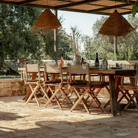 Pool Among Ancient Olive Trees In Prázdninový dům *