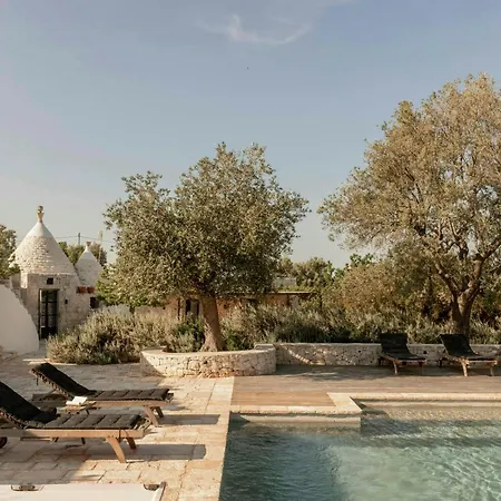 Pool Among Ancient Olive Trees In *