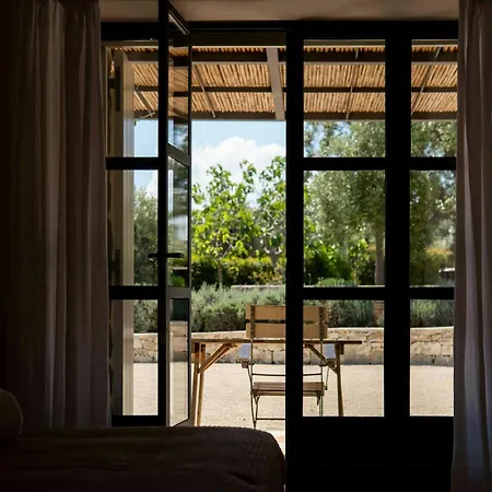 Pool Among Ancient Olive Trees In