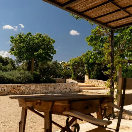Pool Among Ancient Olive Trees In