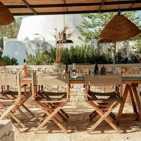 Pool Among Ancient Olive Trees In Ostuni