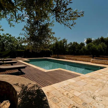 Pool Among Ancient Olive Trees In * Ostuni