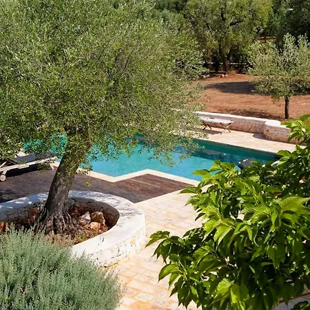 Pool Among Ancient Olive Trees In Prázdninový dům