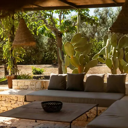 Pool Among Ancient Olive Trees In Holiday home Ostuni