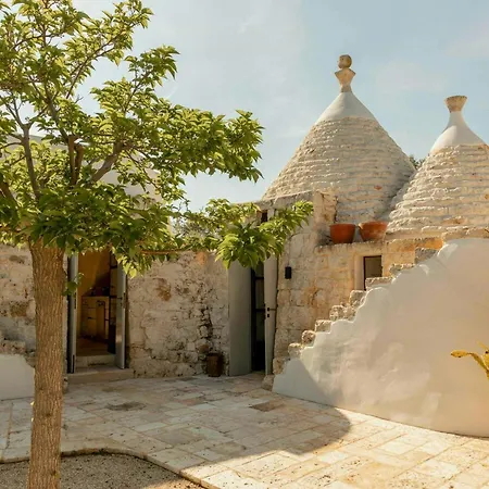 Pool Among Ancient Olive Trees In Ostuni