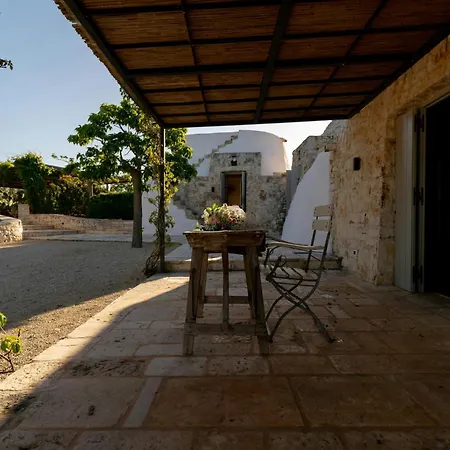 Pool Among Ancient Olive Trees In